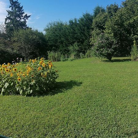 Petite Maison Dans Le Morvan Luzy Eksteriør bilde