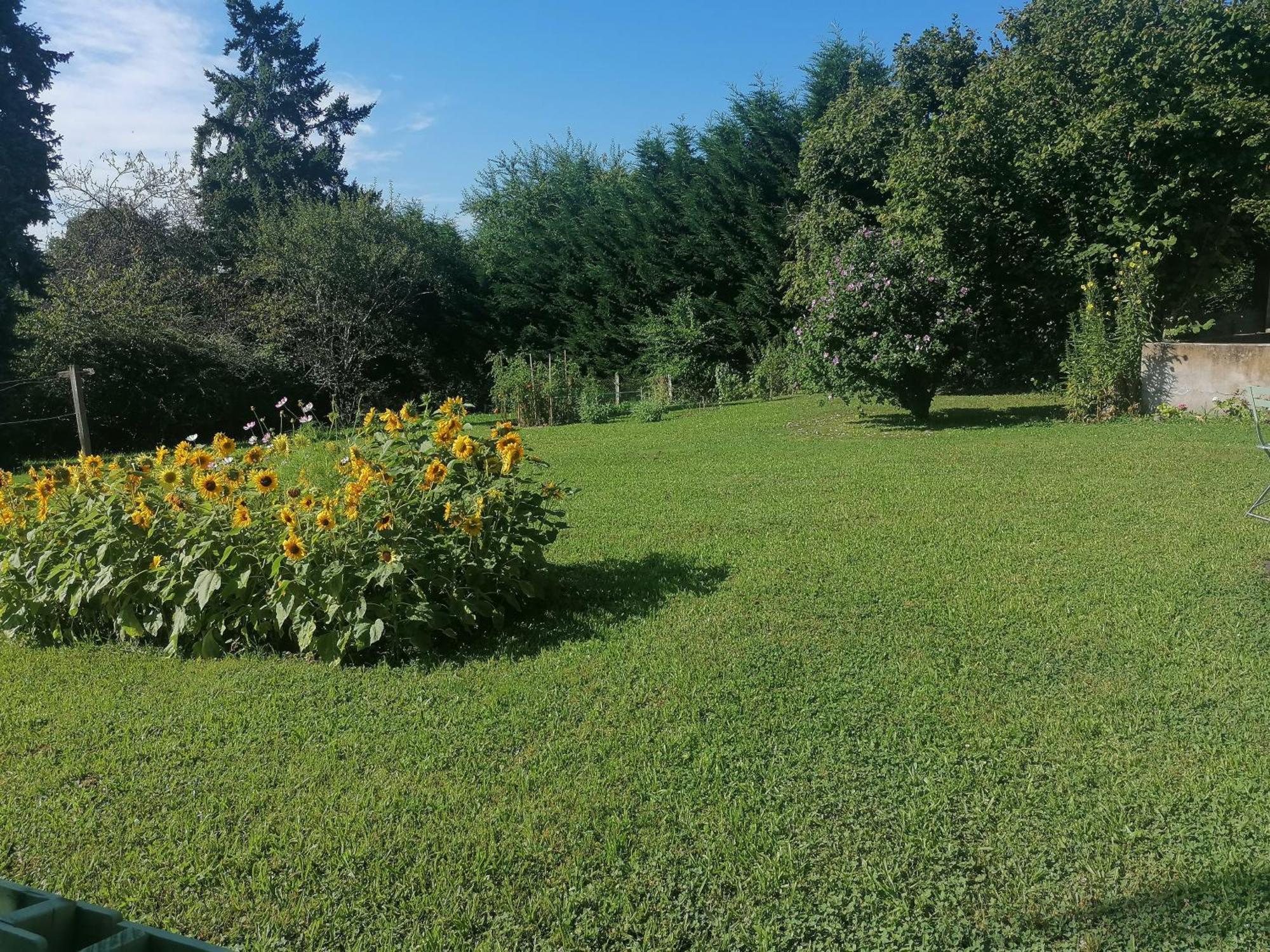 Petite Maison Dans Le Morvan Luzy Eksteriør bilde